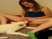 Horny mom loves it when the dog licks her hole